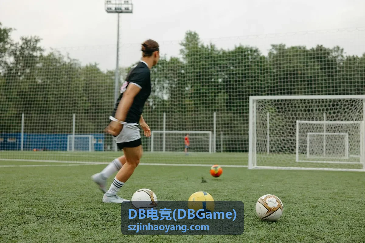 DB电竞(DBGame)选手个人数据面板